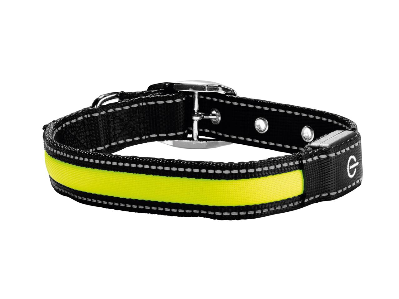 Zoofari LED Dog Collar or Glow Band1