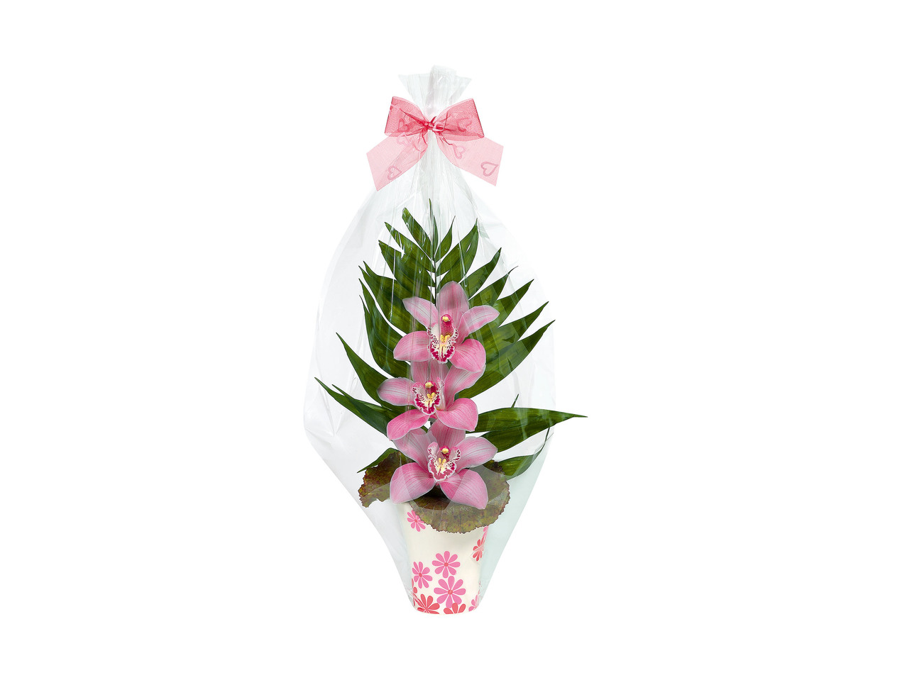 Orquídeas em Vaso Decorativo