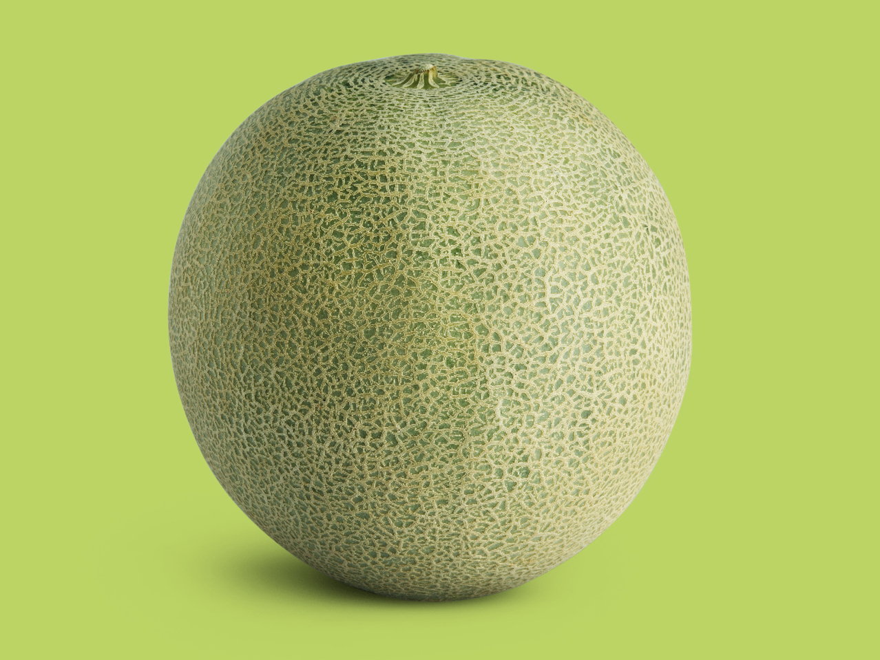 Cantaloupe Melon1