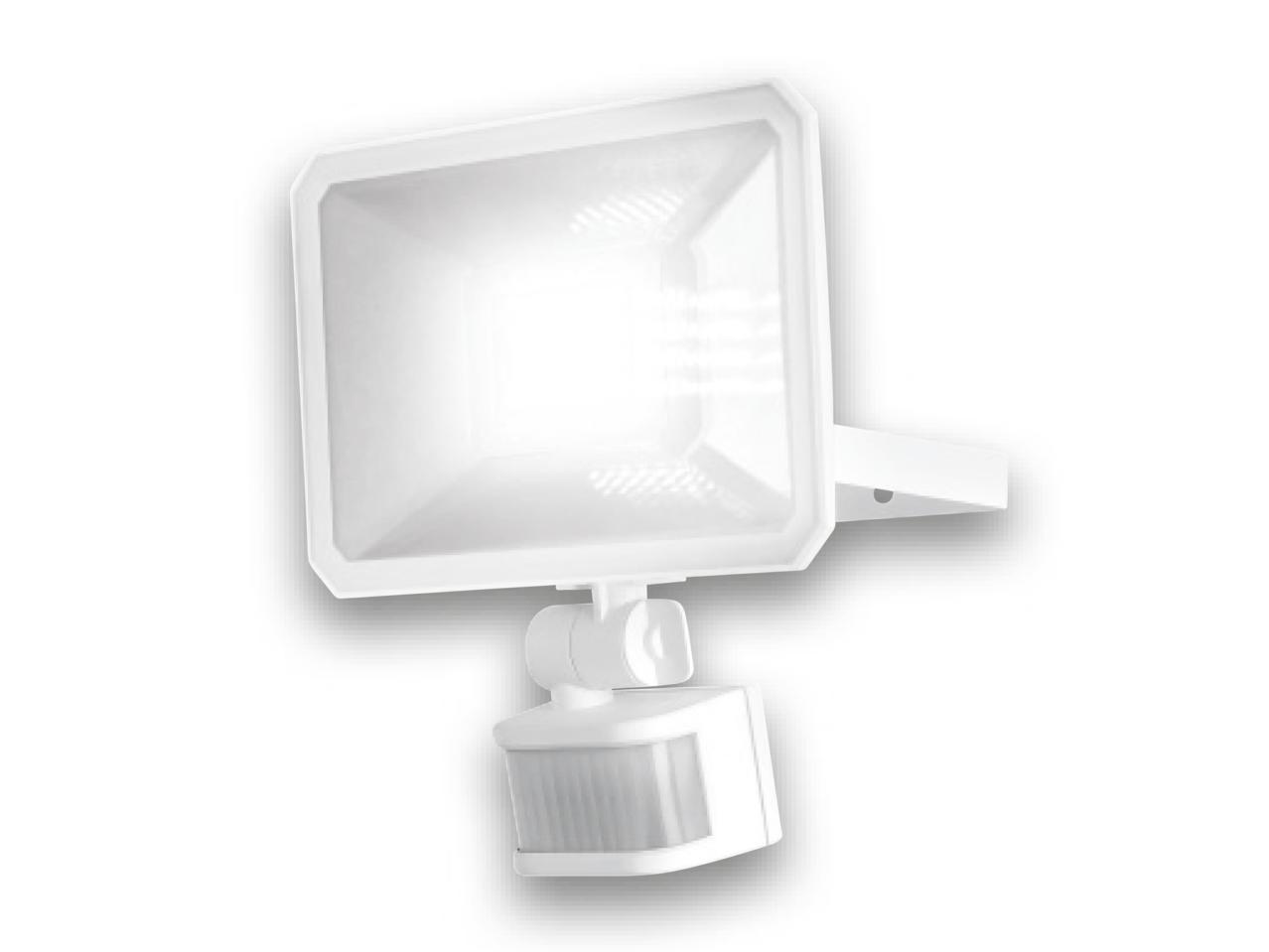 24W LED Outdoor Light