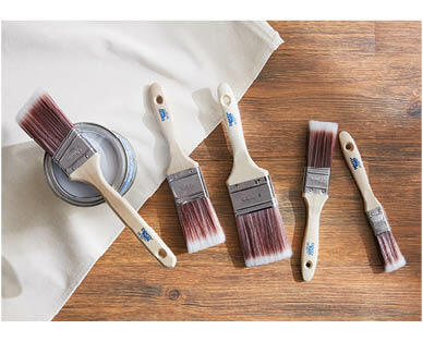 5 Piece Premium Paint Brush Set