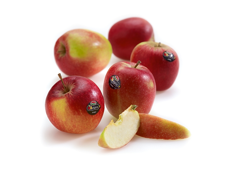 Belgica-appelen