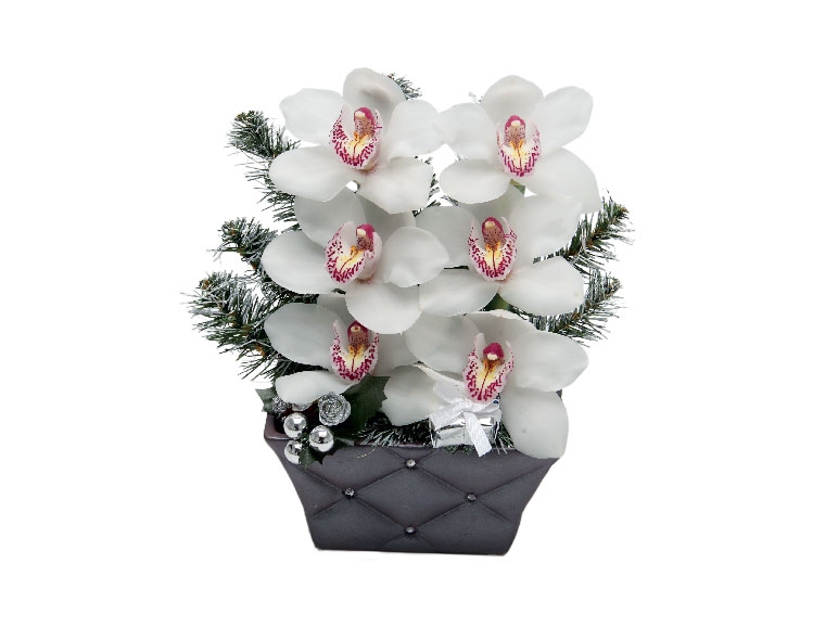 Cut Orchids in Ceramic Pot