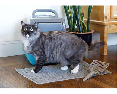 Heart to Tail Litter Mat and Scoop