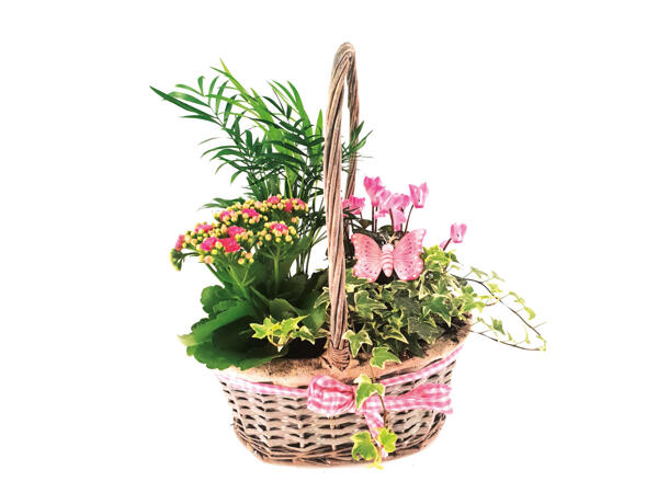 Mother's Day Large Oval Basket