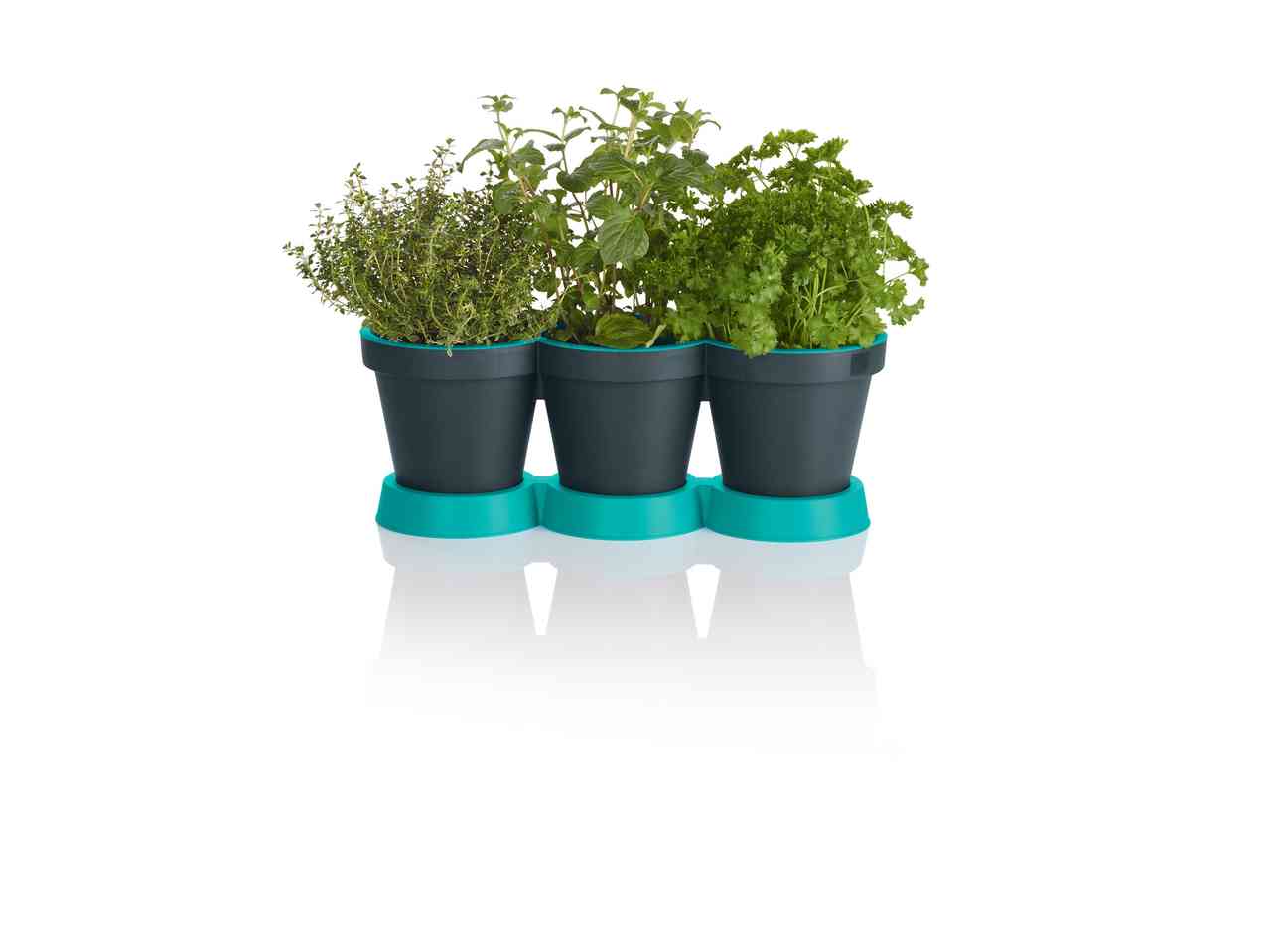 Triple Pot Set for Herbs