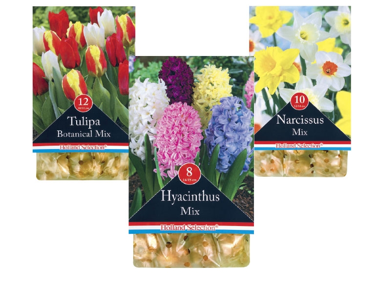 HOLLAND SELECTION Spring Flowering Bulbs