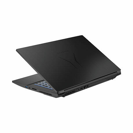 43,9cm (17,3") Core Gaming Notebook MEDION(R) ERAZER(R) Defender P101