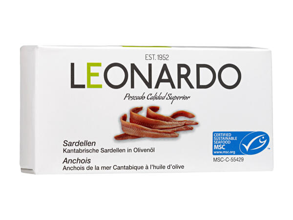 Filets d'anchois cantabriques MSC Leonardo