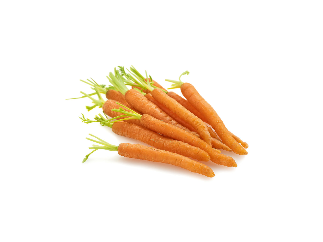 Mini-carottes