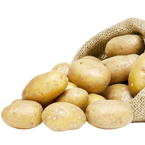 Pommes de terre de consommation "Victoria"