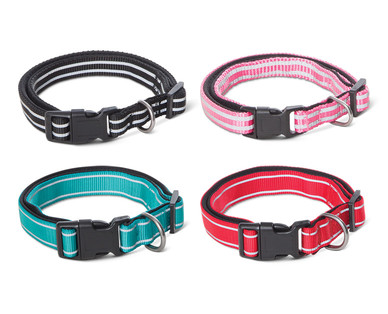 Heart to Tail Padded Pet Collars