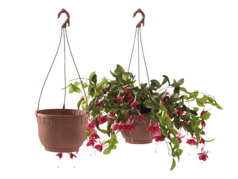 FLORABEST Hanging Baskets or Plant Pot