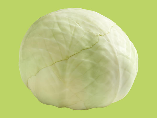 British White Cabbage