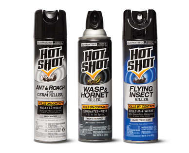 Hot Shot Insect Killer Spray