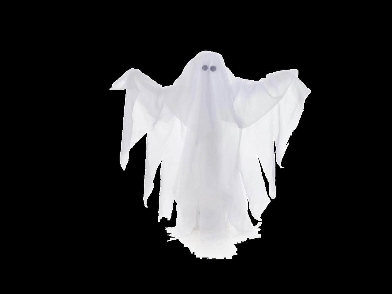 PREMIER 40cm Table Top Ghost with Sound and Movement