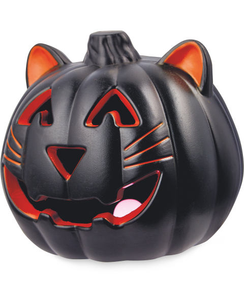 Halloween Black Cat Light Up Pumpkin
