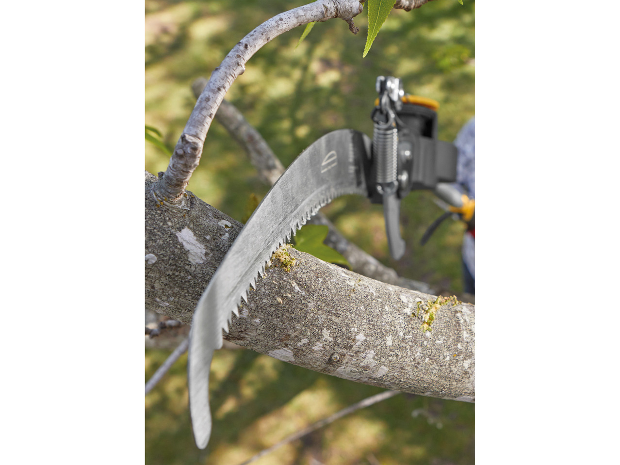 Florabest Extendable Pruning Shears1