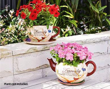 Teacup or Teapot Planter