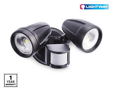 Twin Security Light