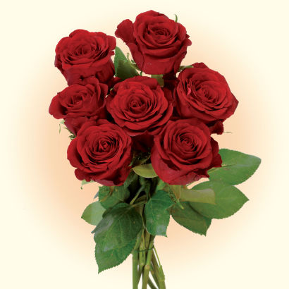 Bouquet de roses Premium