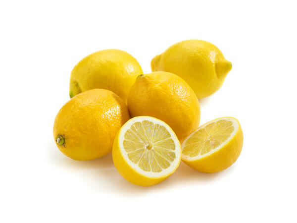 Citrons XXL