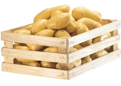Pommes de terre "Krone"