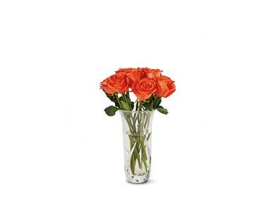 Valentine's Day 12-Stem Rose Bouquet