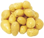 Pommes de terre primeur "Adora"