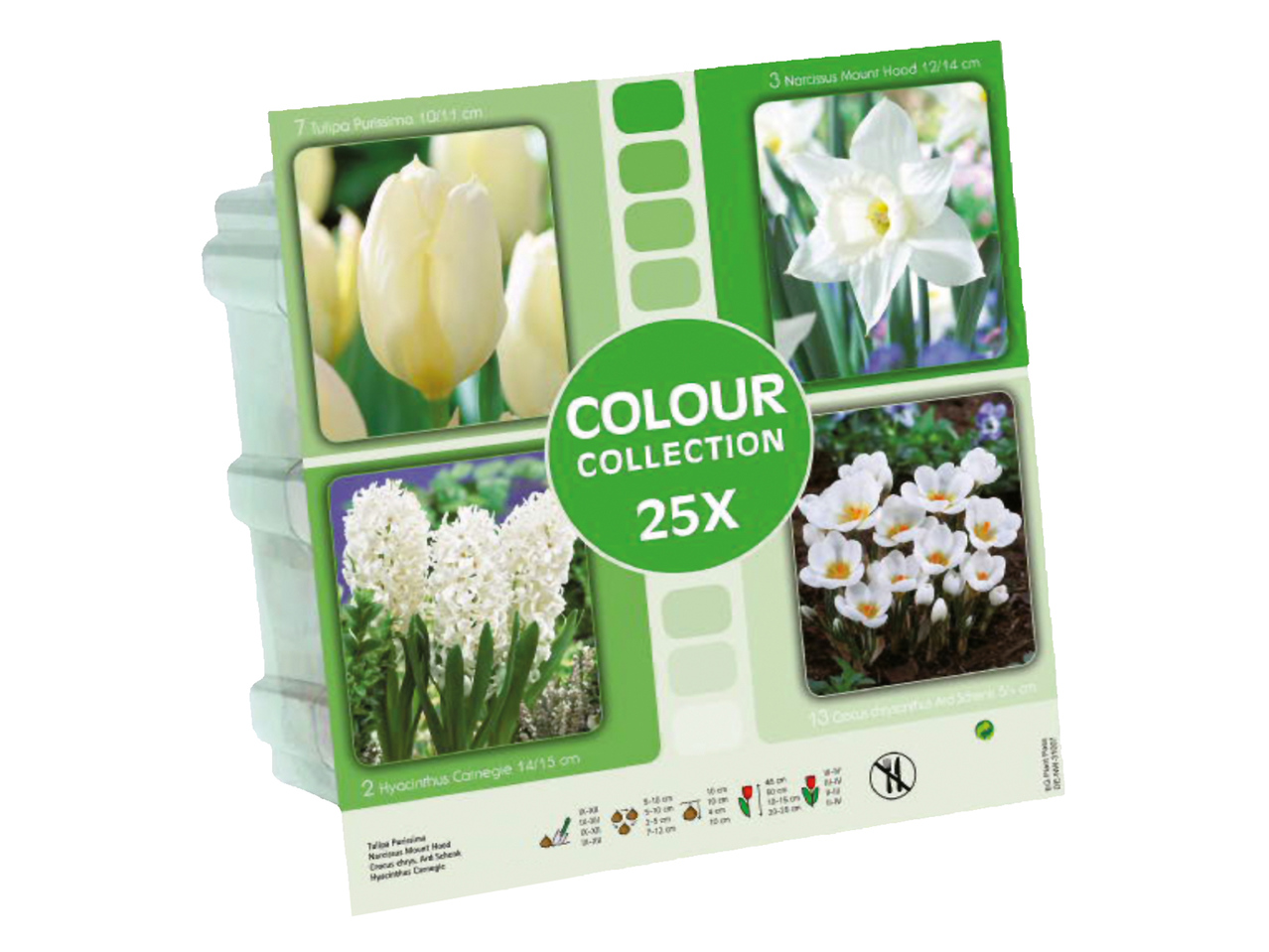 Bulbi de flori - Colecții de culori