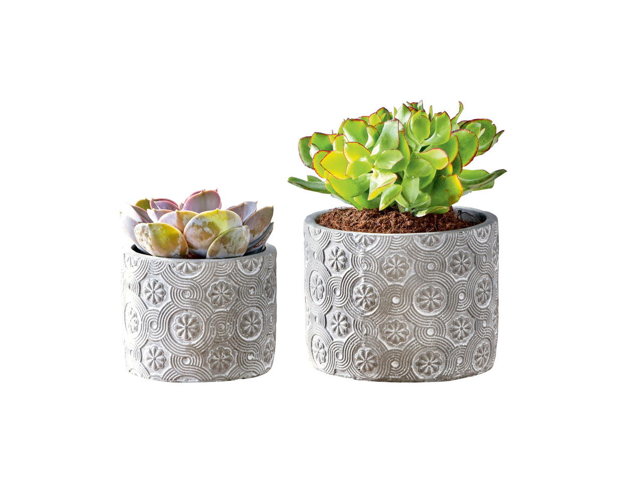 Plant Pots, 2 or 3 pieces or Candle Holder, 2 pieces