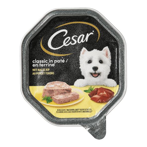 CESAR(R) 				Nourriture humide pour chiens