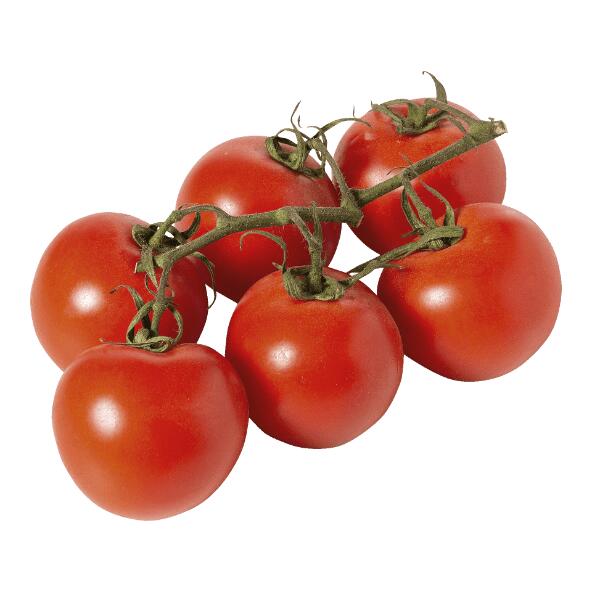 Tomates en grappe bio
