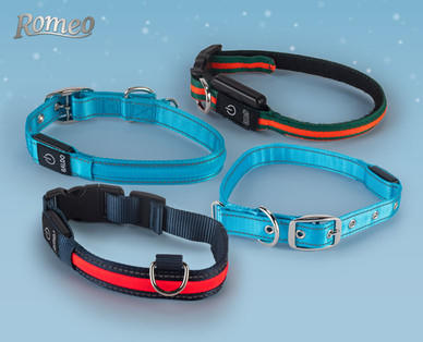 ROMEO LED-Hundehalsband