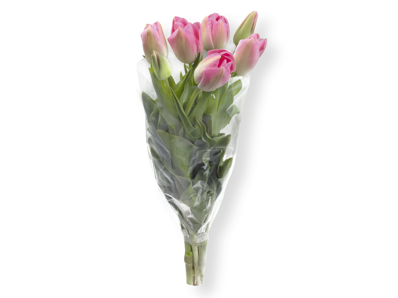 Ramo de tulipanes - Lidl — España - Specials archive