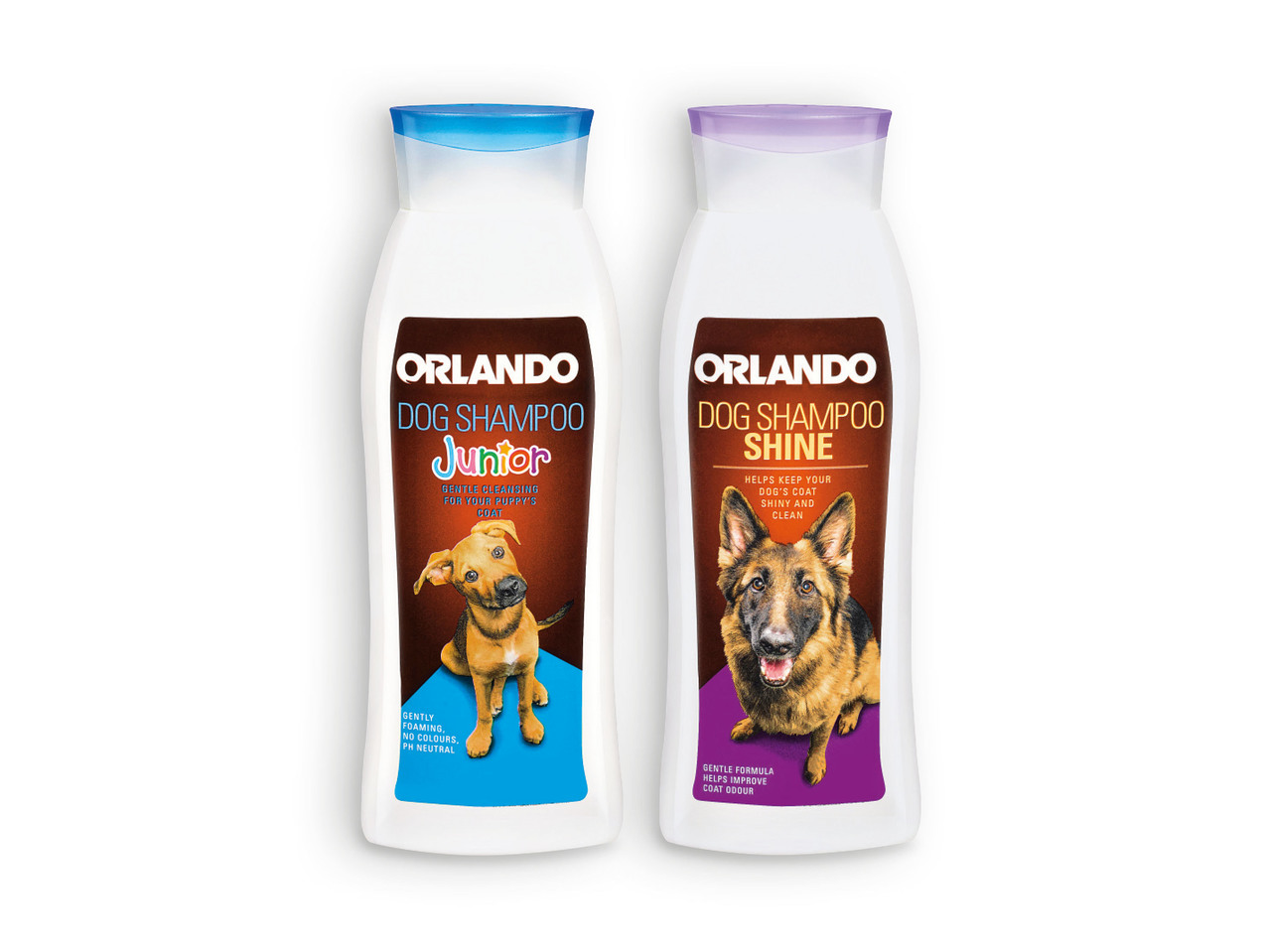 ORLANDO(R) Champô para Cães