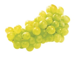 Raisins blancs "Victoria"