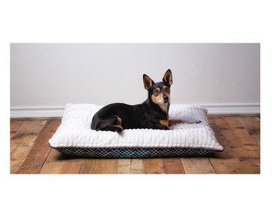 Heart to Tail Pet Bed Assortment