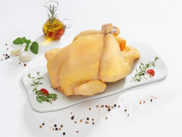 Friss, GMO-mentes háztáji csirke