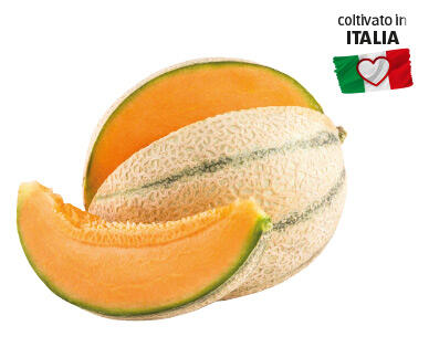 I COLORI DEL SAPORE 
 Melone