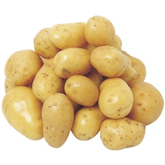 Pommes de terre "Charlotte"
