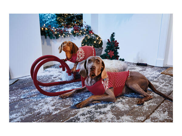 Zoofari Dog Coat or Christmas Jumper