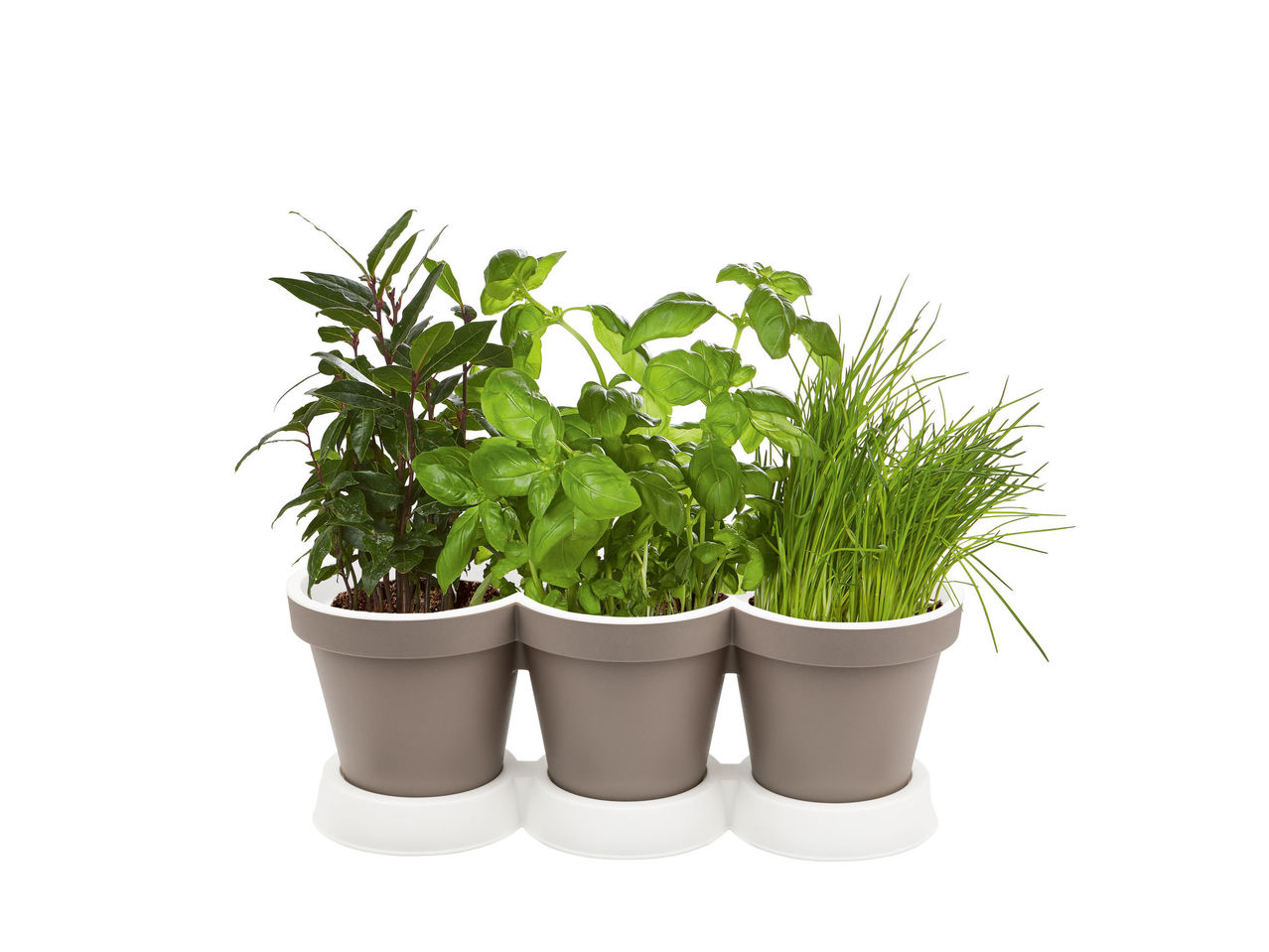 3-in-1 Herb Pot