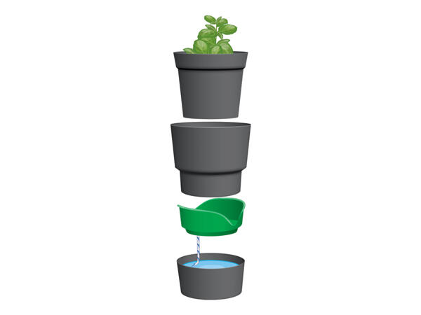 Parkside(R) Vaso para Ervas Aromáticas / Plantas