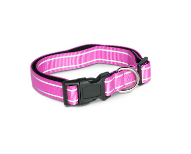 Heart to Tail Padded Dog Collar