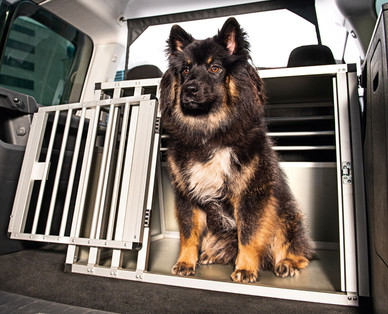 ROMEO EXCELLENCE Hundetransportbox aus Aluminium