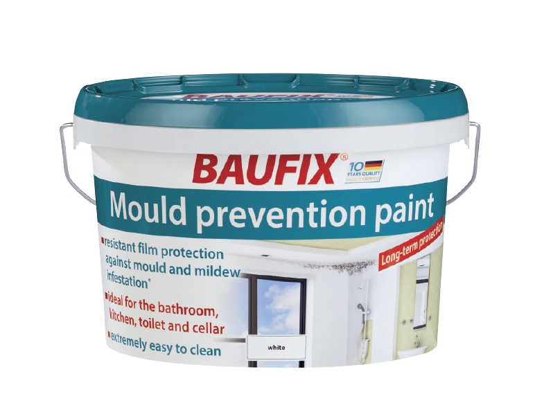 Mould Prevention Paint