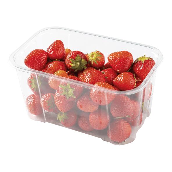 Erdbeeren für Konfitüre
