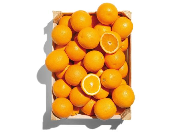 Bio narancs