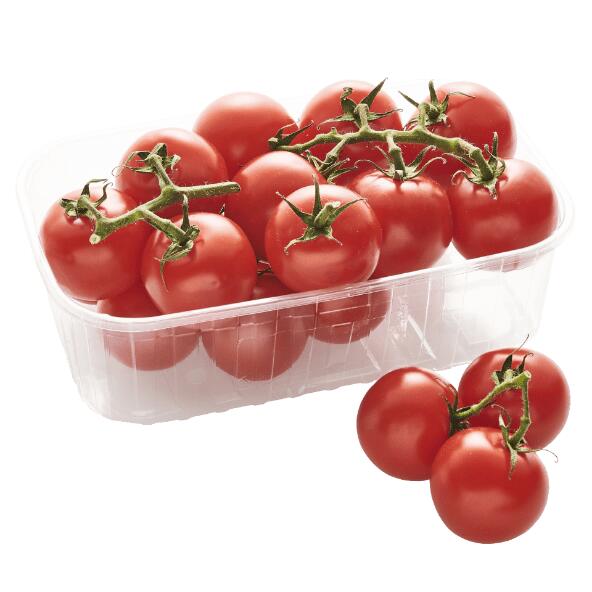 ŚWIEŻEJESZ 				Pomidory cherry na gałązce